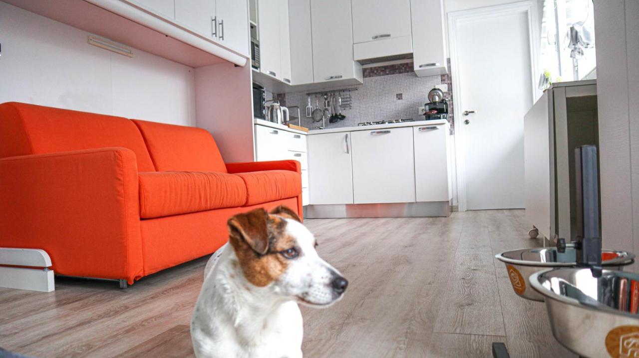 La Casa Di Pamy Apartment Bellaria-Igea Marina Luaran gambar